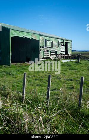 Verwelktes grünes woolshed in der Nähe von Ratana, in der Nähe von Wanganui, Nordinsel, Neuseeland Stockfoto