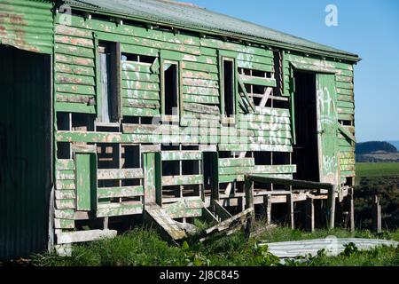 Verwelktes grünes woolshed in der Nähe von Ratana, in der Nähe von Wanganui, Nordinsel, Neuseeland Stockfoto