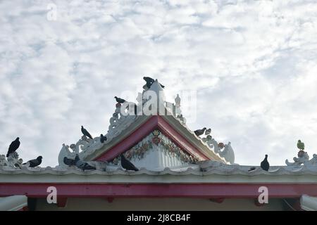 Taube an der Dachtür am Tempel der Morgendämmerung in Thailand Stockfoto