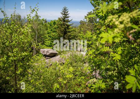 Erlebnisweg Heinrichs, ein Wanderweg im Waldgebiet - am Mandelstein Stockfoto