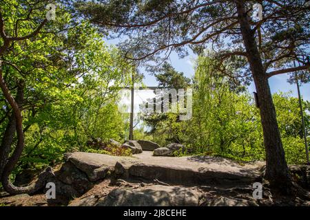 Erlebnisweg Heinrichs, ein Wanderweg im Waldgebiet - am Mandelstein Stockfoto