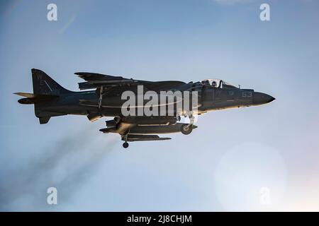 Ein U.S. Marine Corps AV-8B Harrier, der an das Schwarze Schaf der Marine Attack Squadron 214 befestigt ist, führt eine vertikale Landung auf dem Flugdeck des amphibischen Sturmschiffs USS Essex der Wasp-Klasse durch, das am 4. Dezember 2021 auf dem Arabischen Golf eingesetzt wird. Stockfoto