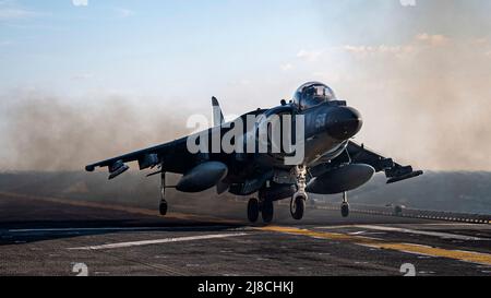 Ein U.S. Marine Corps AV-8B Harrier, der an das Schwarze Schaf der Marine Attack Squadron 214 befestigt ist, führt einen vertikalen Start vom Flugdeck des amphibischen Sturmschiffs USS Essex der Wasp-Klasse am 4. Dezember 2021 durch, das auf dem Arabischen Golf operiert. Stockfoto