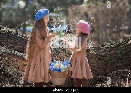 Zwei Mädchen Schwestern Kinder geht durch den Wald im Frühjahr und sammelt die ersten Frühlingsblumen in Korb . Stockfoto