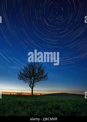 Einsamer Baum unter Sternen, die aus der Dämmerung aufgehen, startrail Nacht vertikale Landschaft Stockfoto