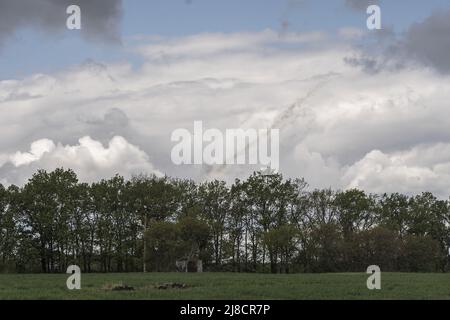 Der Rauch eines ukrainischen Starts (unbekannter Typ) wird am Himmel gesehen, als ukrainische Soldaten (aus dem Rahmen) sich darauf vorbereiten, einen zerstörten ukrainischen 2S7 Pion (Peony) zu heben, ein Panzer, der zwei Nächte vor dem russischen Beschuss östlich von Charkiw in Wilhiwka, Ukraine, in einem Feld liegt, am Sonntag, den 15. Mai 2022. Foto von Ken Cedeno/UPI Stockfoto