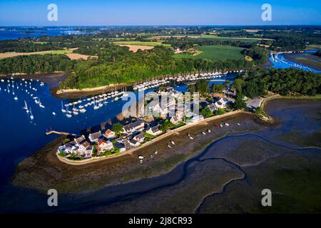Frankreich, Morbihan, Golf von Morbihan, Vannes, die Halbinsel Conleau und der Hafen (Luftaufnahme) Stockfoto