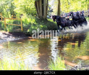 Windsor Bekshire UK 14. Mai 2022 Boyd Excell AUS pflügt beim Land Rover International Grand Prix CAIO4 vier-in-Hand-Pferderennen-Marathon Credit durch den Splash. Gary Blake/Alamy Live News Stockfoto