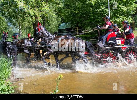 Windsor Bekshire UK 14. Mai 2022 Karen Bassett GBR steigt beim Land Rover International Grand Prix CAIO4 beim vier-in-Hand-Horse Driving Marathon Credit in den Startspann. Gary Blake/Alamy Live News Stockfoto