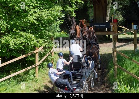 Windsor Berkshire UK 14. Mai 2022 Glenn Geerts Bel klettert beim Land Rover International Grand Prix CAIO4 vier-in-Hand-Pferderennen-Marathon aus dem Splash Credit. Gary Blake/Alamy Live News Stockfoto