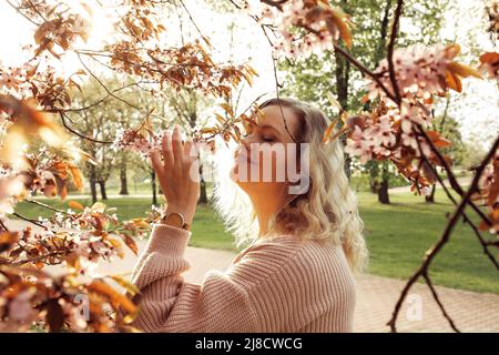 Portrait von glücklichen schönen blonden Haaren Frau in rosa gestrickte Strickjacke schnüffelnd Duft von blühenden Flieder an sonnigen Tag, Natur Hintergrund. Mode Stockfoto