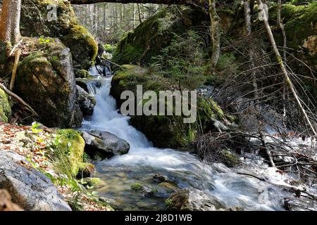 Ein Gebirgsbach im Nationalpark Gesäuse, Steiermark, Österreich Stockfoto