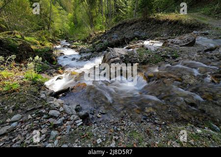 Ein Gebirgsbach im Nationalpark Gesäuse, Steiermark, Österreich Stockfoto
