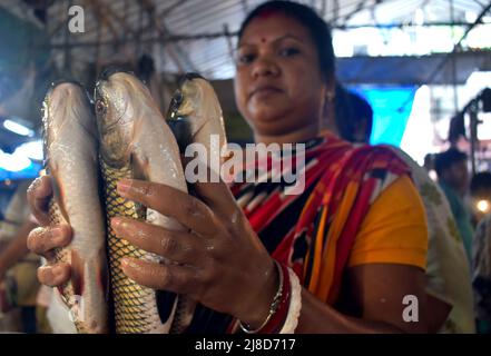 Kalkutta, Westbengalen, Indien. 15.. Mai 2022. Eine Frau, die Fisch auf einem Markt in Kalkutta verkauft. (Bild: © Sudipta das/Pacific Press via ZUMA Press Wire) Stockfoto