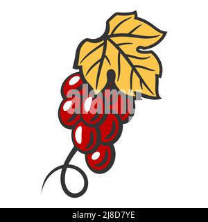 Illustration von Trauben aus roten Trauben. Bild der Weinkellerei für Restaurants und Bars. Geschäfts- und Agrarartikel. Stock Vektor