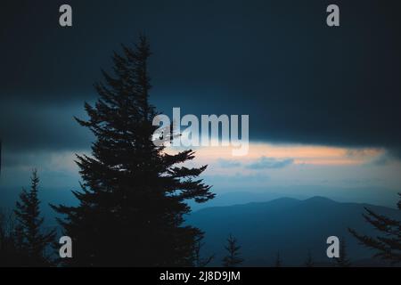 Der Umriss eines Fichtenbaums steht vor einer orangenen Farbe nach Sonnenuntergang im Great Smoky Mountains National Park, Tennessee. Stockfoto