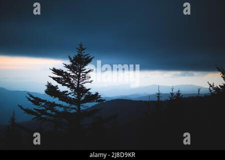 Der Umriss eines Fichtenbaums steht vor einer orangenen Farbe nach Sonnenuntergang im Great Smoky Mountains National Park, Tennessee. Stockfoto