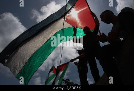 Gaza-Stadt. 15.. Mai 2022. Am Sonntag, dem 15. Mai 2022, schwenken Palästinenser ihre Nationalflaggen während einer Kundgebung zum 74h. Jahrestag dessen, was die Palästinenser die "Nakba" nennen, oder Israels Gründung 1948, vor den UNESCO-Büros in Gaza-Stadt. "Nakba" bedeutet auf Arabisch "Katastrophe" in Bezug auf die Geburt des Staates Israel vor 74 Jahren im britischen Mandatsgebiet Palästina, was zur Vertreibung von Hunderttausenden von Palästinensern führte, die entweder flohen oder während des Krieges um die Gründung Israels 1948 aus ihren Häusern vertrieben wurden. Foto von Ismael Mohamad/UPI Credit: UPI/Alamy Live Stockfoto