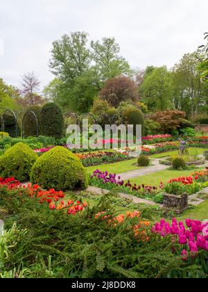 Chenies Manor Garden.Porträtansicht des schönen versunkenen Gartens mit vielen Tulpen-Sorten. Stockfoto