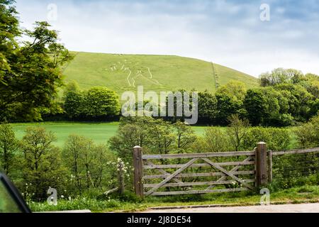 Cerne Abbas Giant in Dorsetshire, ein uraltes Fruchtbarkeitssymbol. Stockfoto