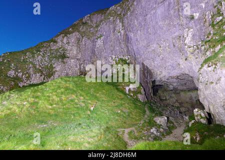 Victoria Cave in Langcliffe in den Yorkshire Dales, North Yorkshire, Großbritannien Stockfoto