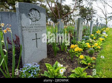 Auf dem Ross Bay Cemetery in Victoria, British Columbia, Kanada, ehren Commonwealth-Grabmarkierungen Soldaten, die im Ersten Weltkrieg ums Leben kamen. Stockfoto