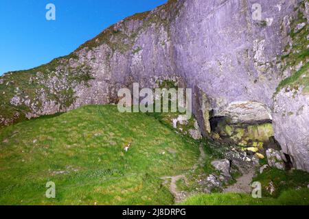 Victoria Cave in Langcliffe in den Yorkshire Dales, North Yorkshire, Großbritannien Stockfoto