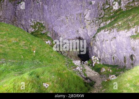 Victoria Cave in Langcliffe in den Yorkshire Dales, North Yorkshire, Großbritannien Stockfoto