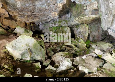 Victoria Cave in Langcliffe in den Yorkshire Dales, North Yorkshire, Großbritannien Stockfoto