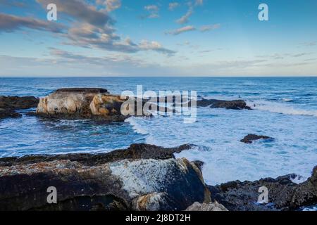 Blick auf die felsige Küste vom Bluff Trail im Montaña de Oro State Park. San Luis Obispo County, Kalifornien , USA Stockfoto