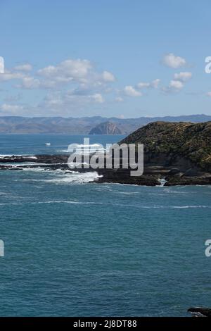 Felsige Küste Blick auf den Morro-Felsen vom Bluff Trail im Montaña de Oro State Park. San Luis Obispo County, Kalifornien , USA Stockfoto