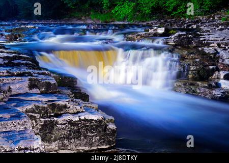 Stainforth Force Waterfall in North Yorkshire, Großbritannien Stockfoto