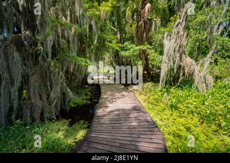 Trimble Park ein Park am See mit Wanderwegen und Promenade in Mount Dora, Florida Stockfoto