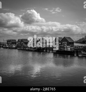 Der Hafen der Weißen Wiek von Boltenhagen an der Ostsee in schwarz-weiß Stockfoto