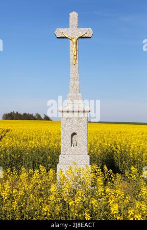 Kruzifix und blühendes Feld von Raps, Raps oder Cola Stockfoto