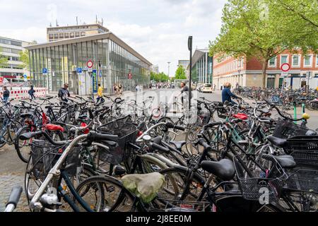 Großer Fahrradparkplatz vor dem Hauptbahnhof in Münster, NRW, Deutschland Stockfoto