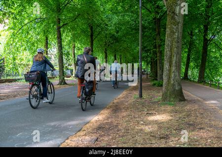 Promenadenradweg, von Bäumen gesäumt, autofrei, ca. 4,5 km langer Verbreitungsring rund um die Innenstadt von Münster, NRW, DeutschlandPromenadenradweg, Stockfoto