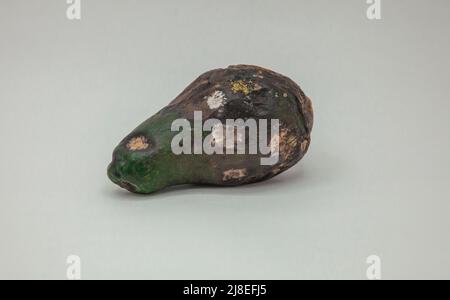 Verdorbene verfaulte reife Avocado auf weißem Hintergrund. Nahaufnahme und isolierter Hintergrund. Stockfoto