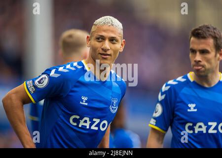 Liverpool, Großbritannien. 15.. Mai 2022. Richarlison #7 von Everton in Liverpool, Vereinigtes Königreich am 5/15/2022. (Foto von Conor Molloy/News Images/Sipa USA) Quelle: SIPA USA/Alamy Live News Stockfoto