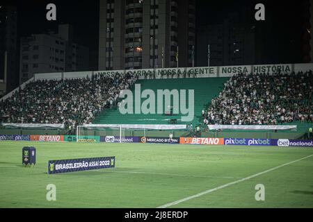 Goiania, Brasilien. 15.. Mai 2022. GO - Goiania - 05/15/2022 - BRASILIANER A 2022, GOIAS X SANTOS - Supporters während eines Spiels zwischen Goias und Santos im Serrinha-Stadion für die brasilianische Meisterschaft A 2022. Foto: Heber Gomes/AGIF/Sipa USA Quelle: SIPA USA/Alamy Live News Stockfoto