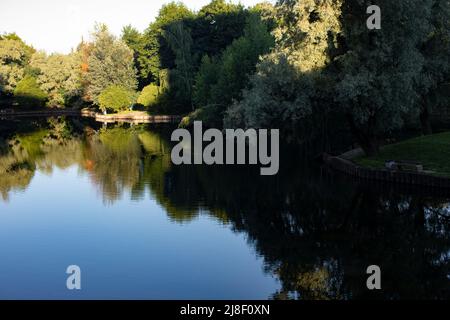 See im Park. Teich in der Stadt. Wasseroberfläche. Schatten auf dem See. Stockfoto