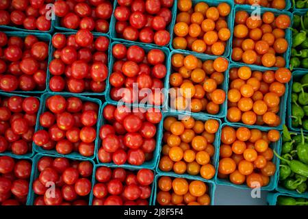 Pints rote Kirschtomaten auf dem Bauernmarkt. Reife rote Kirschtomaten gewaschen und fertig zum Essen. Stockfoto