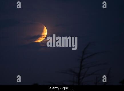 Wimbledon, London, Großbritannien. 16 Mai 2022. Der wolkige Himmel bei 04,11am zeigt die totale Mondfinsternis des Supermondes, der sich entwickelt, wenn sich der Mond dem Horizont nähert. Quelle: Malcolm Park/Alamy Live News Stockfoto