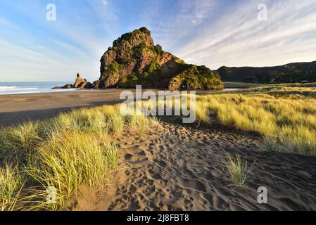 Lion Rock bei Piha Beach, Neuseeland Stockfoto