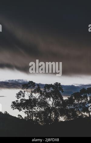 Stürmische Dämmerung über den Bergen mit Eukalyptusbäumen und Silhouetten, die im Winter in Tasmanien aufgenommen wurden Stockfoto