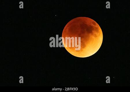 Vollmondfinsternis mit Superblutmond über Metro Atlanta, Georgia, am 16. Mai 2022. (USA) Stockfoto