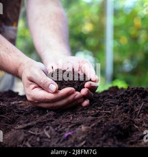 Boden in männlichen Handflächen. Farmer Hand hält guten Boden Nahaufnahme. Garten Landwirtschaft funktioniert, Naturschutz Konzept Stockfoto