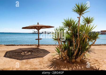 Sommerurlaub am Roten Meer. Strand, Palmen, Sand, schattiger Platz unter einem Sonnenschirm. Stockfoto