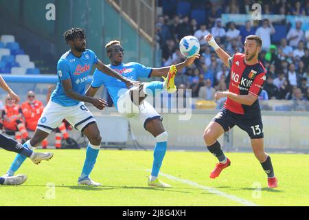 Napoli, Italien. 15.. Mai 2022. Victor Osimhen (SSC Napoli) in Aktion während des Spiels der Serie A 2021/22 zwischen SSC Napoli und dem FC Genua Diago Armando Maradona Stadium (Bildnachweis: © Agostino Gemito/Pacific Press via ZUMA Press Wire) Stockfoto