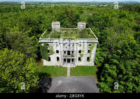 Moore Hall ist ein großes Ruinenhaus mit Efeu und ist von einem Wald umgeben. Es befindet sich in der Grafschaft Mayo Irland und ist jetzt ein öffentlicher Bereich Stockfoto